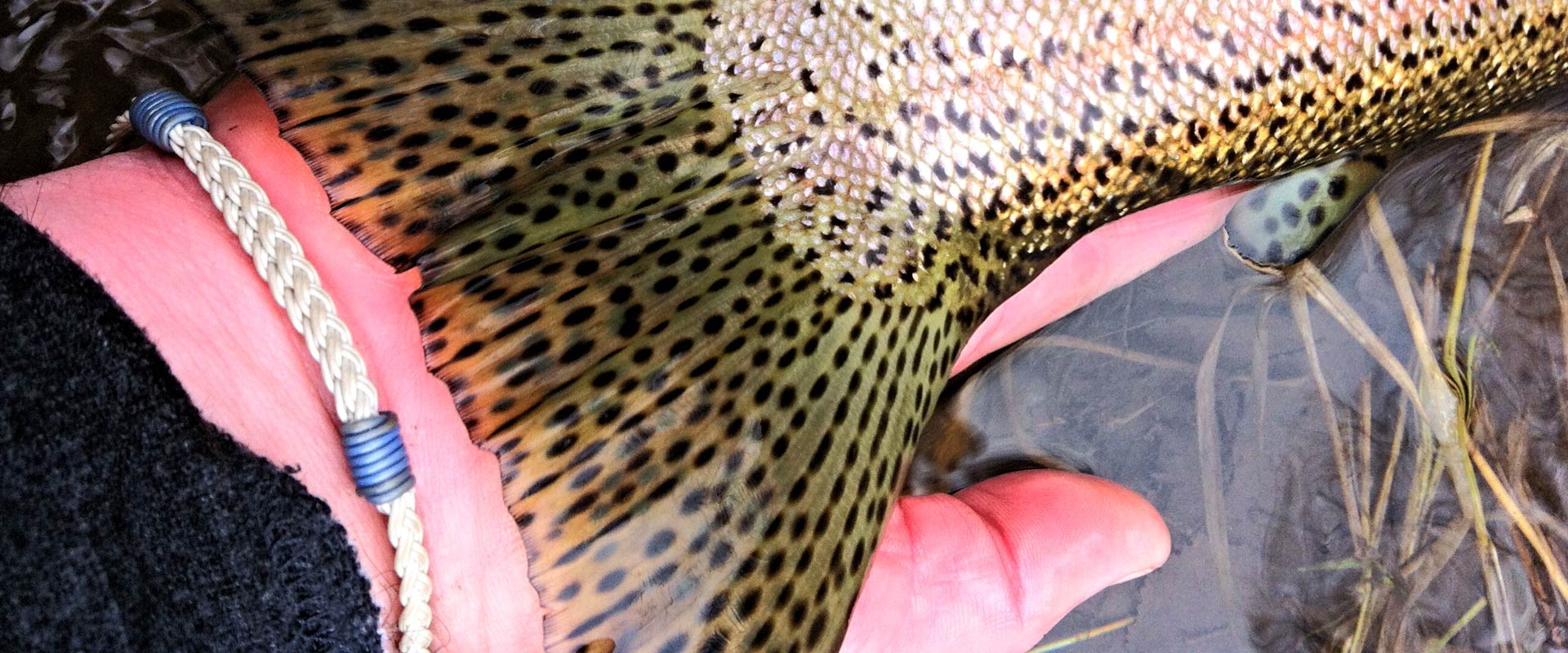 Flyvines recycled fly line accessories for the hardcore fisherman